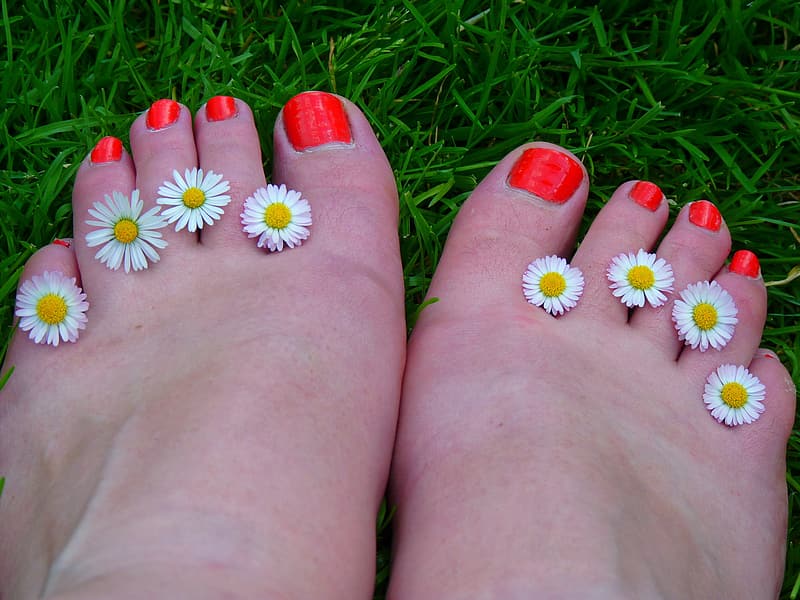 eight-white-chamomile-flowers-in-between-human-toes-with-red-pedicure - Latest Fashion & Lifestyle Trends How to do Pedicure at home?