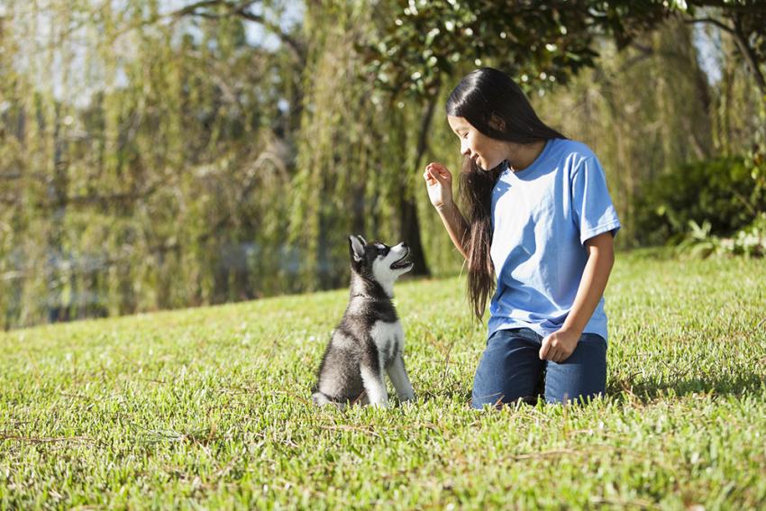 A girl training her dog