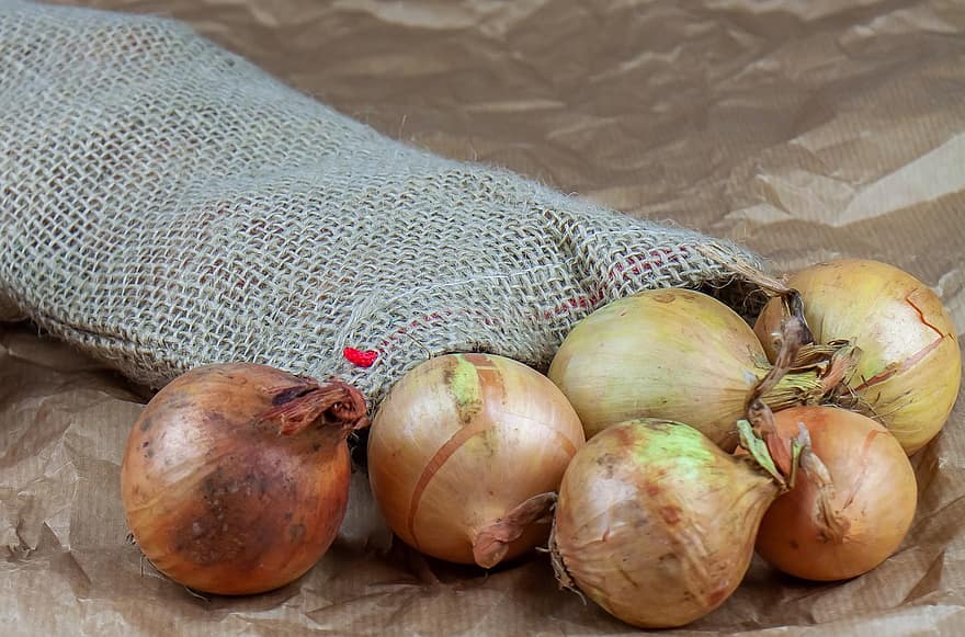 onion juice for hair loss