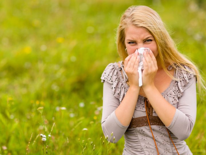 Allergic Rhinitis- Causes of Year-Round Allergies