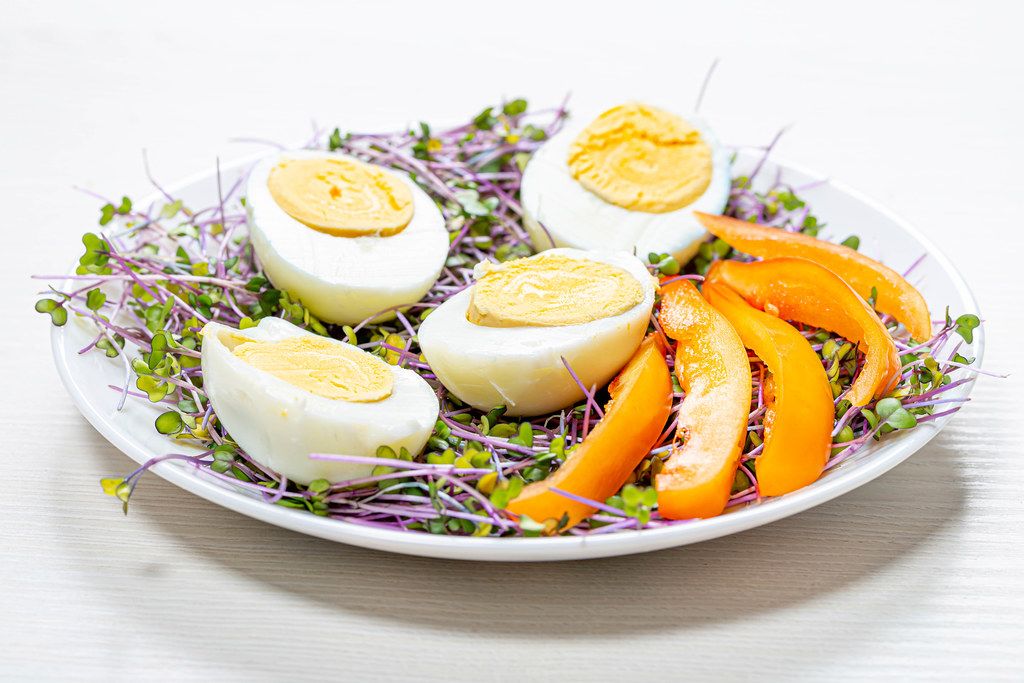 micro-greens-cabbage-with-boiled-eggs-and-pieces-of-bell-pepper-flip-2019- - Latest Fashion & Lifestyle Trends Post workout nutrition