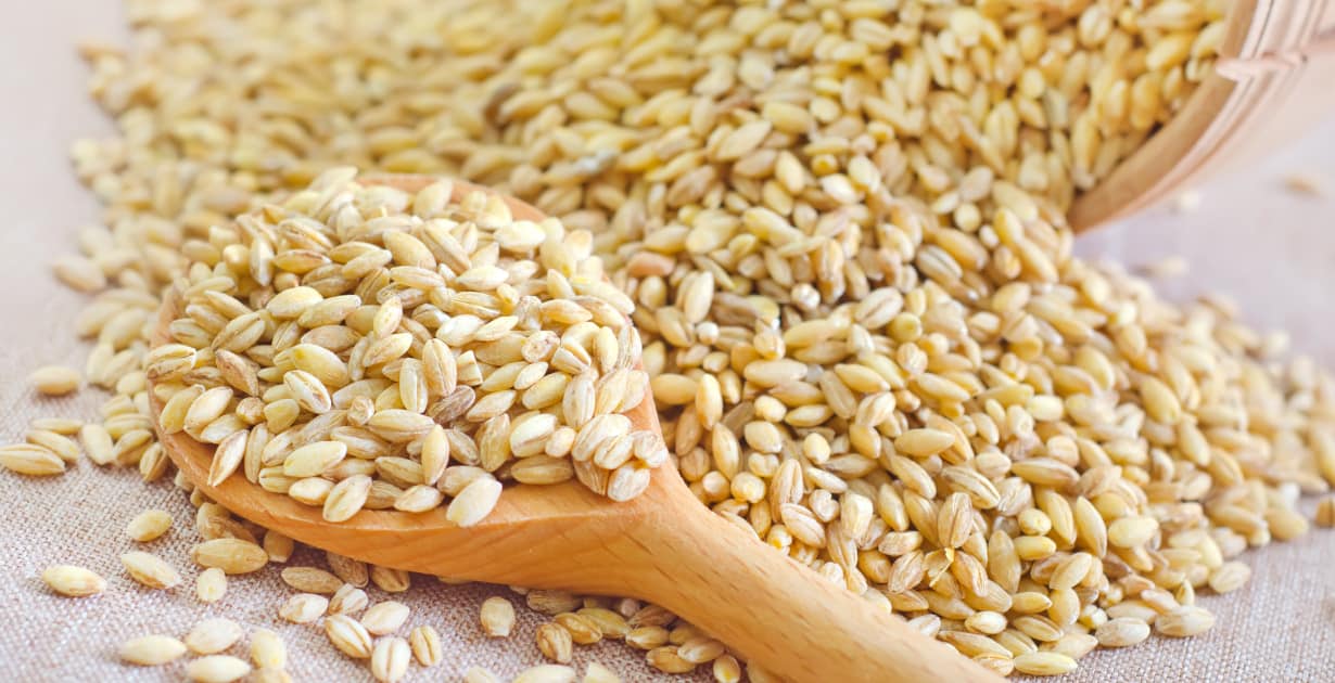 Wheat Berries - Latest Fashion & Lifestyle Trends what are wheat berries