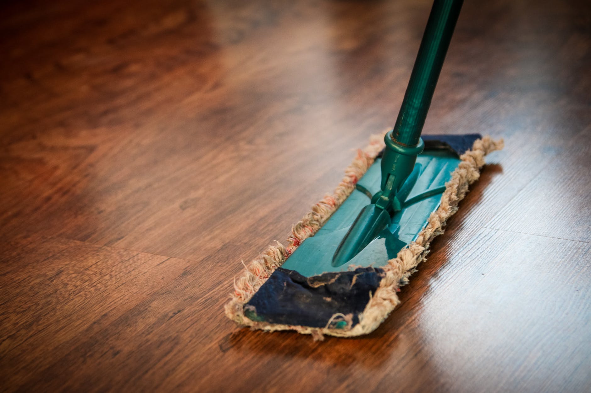 cleaning-washing-cleanup-the-ilo-48889 - Latest Fashion & Lifestyle Trends house cleaning checklist