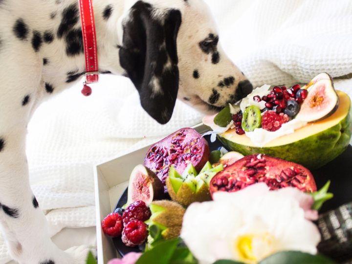 What Fruits and Vegetables Can Dogs Eat? – A Guide for Pet Lovers