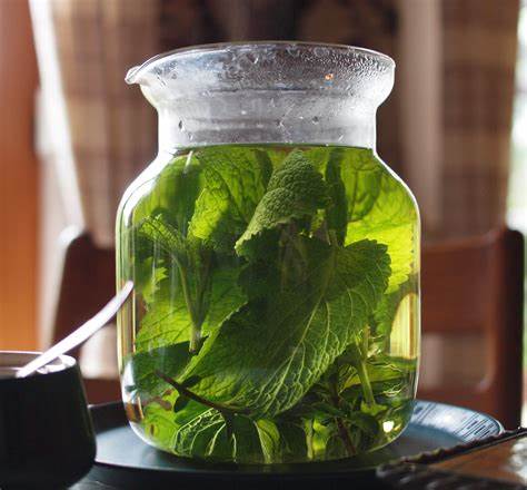 Know More About Lemon Balm Tea Benefits