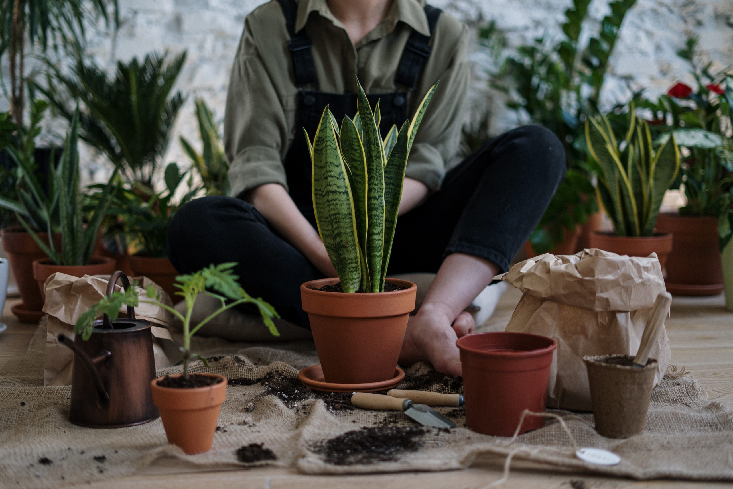 pexels-cottonbro-4503261 - Latest Fashion & Lifestyle Trends herb garden ideas
