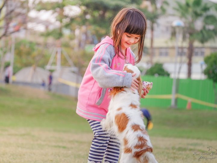 Best Dog Breeds for Kids and Family