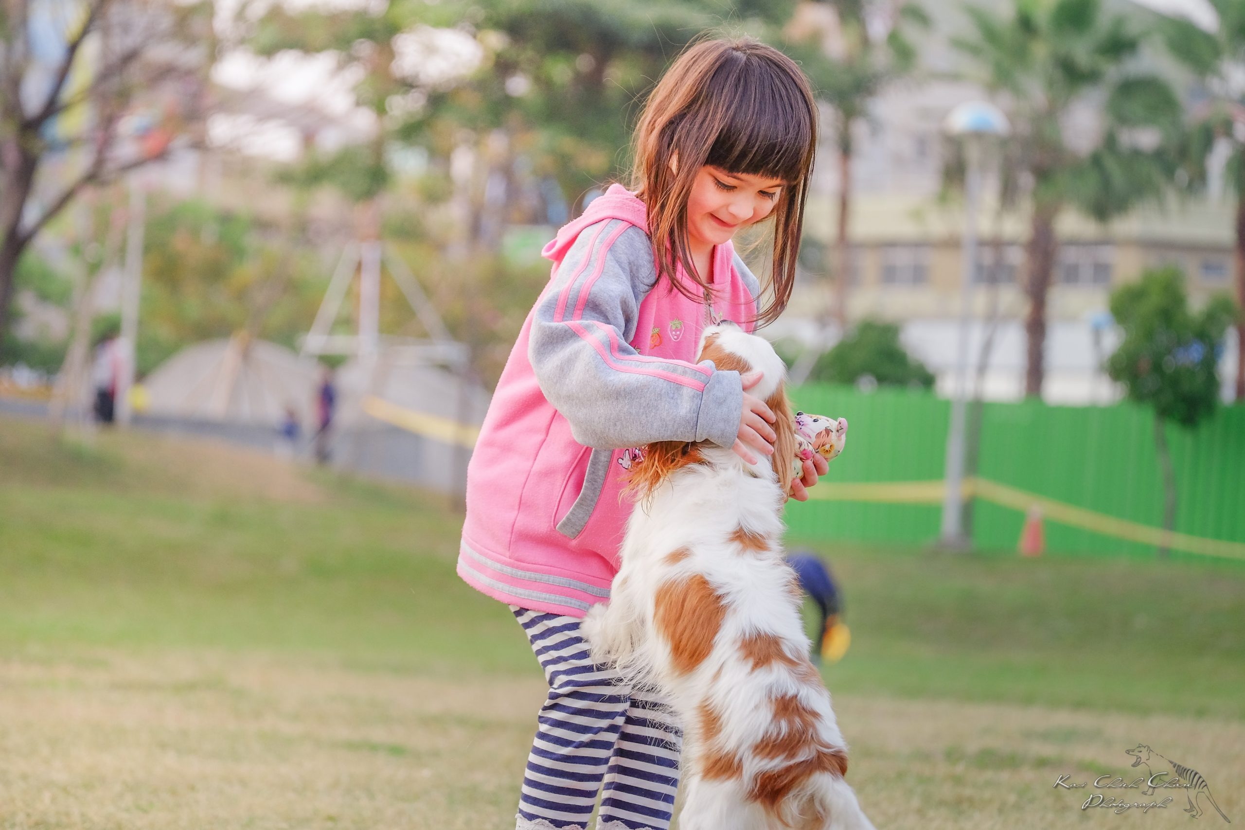 best dog breeds for kids