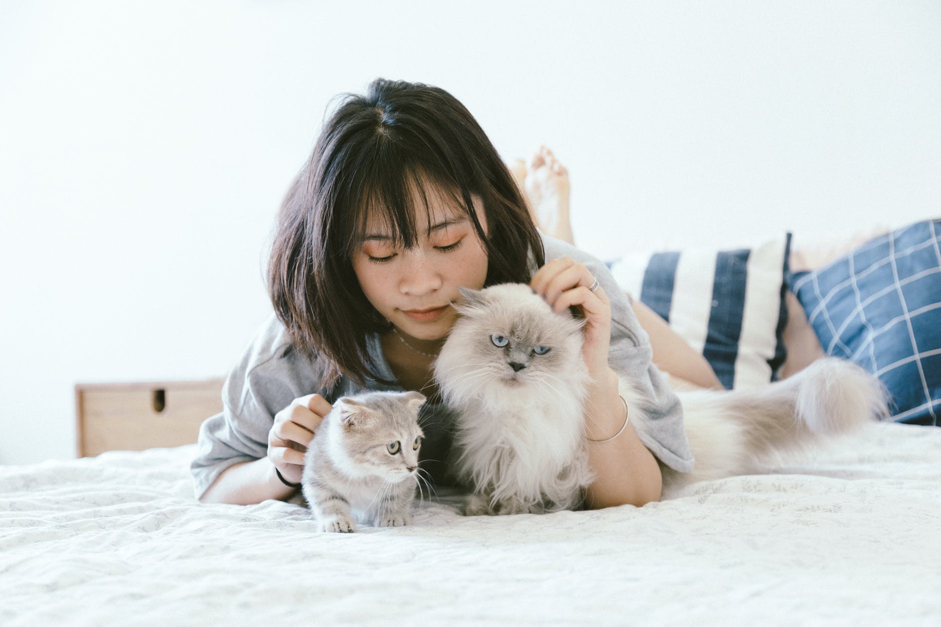 pexels-photo-2215599 - Latest Fashion & Lifestyle Trends zoonotic disease