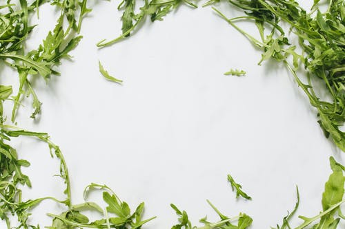 pexels-photo-4519014 - Latest Fashion & Lifestyle Trends oregano oil benefits