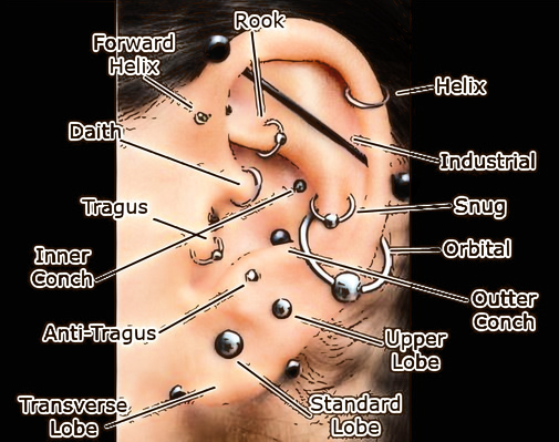 Ear Piercing Guide – Different Types of Ear Piercings to Try this Year ...
