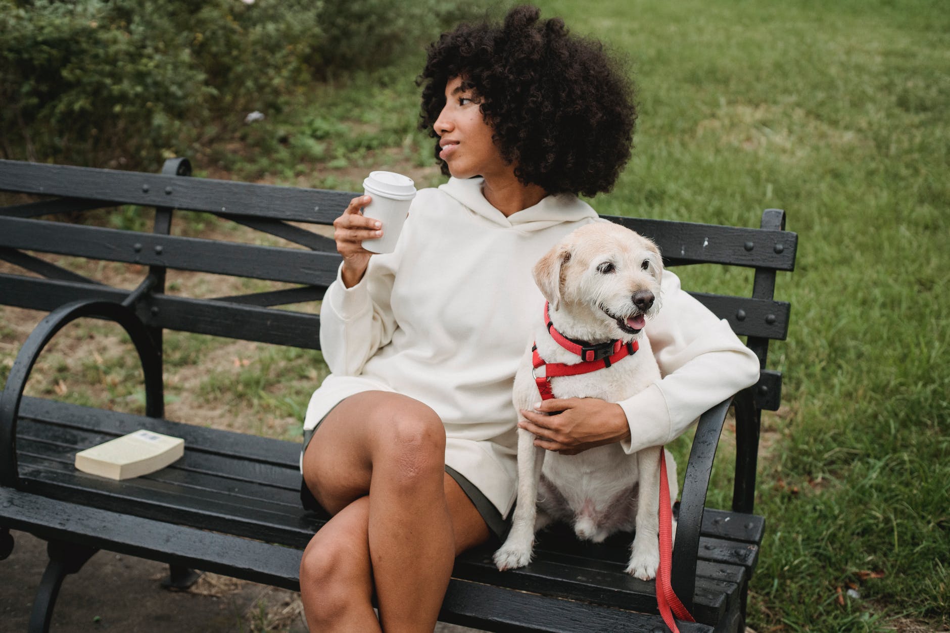 dog collar - Latest Fashion & Lifestyle Trends best dog bark collar