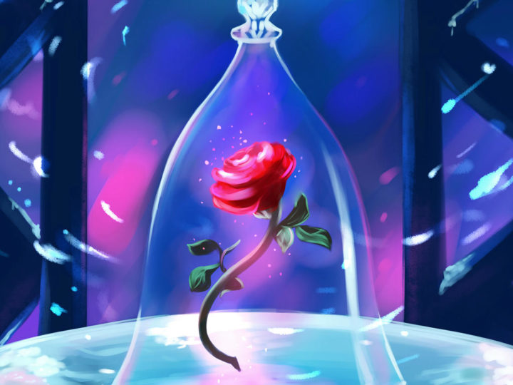 Beauty And The Beast Rose: The Mystical Gift By Disney