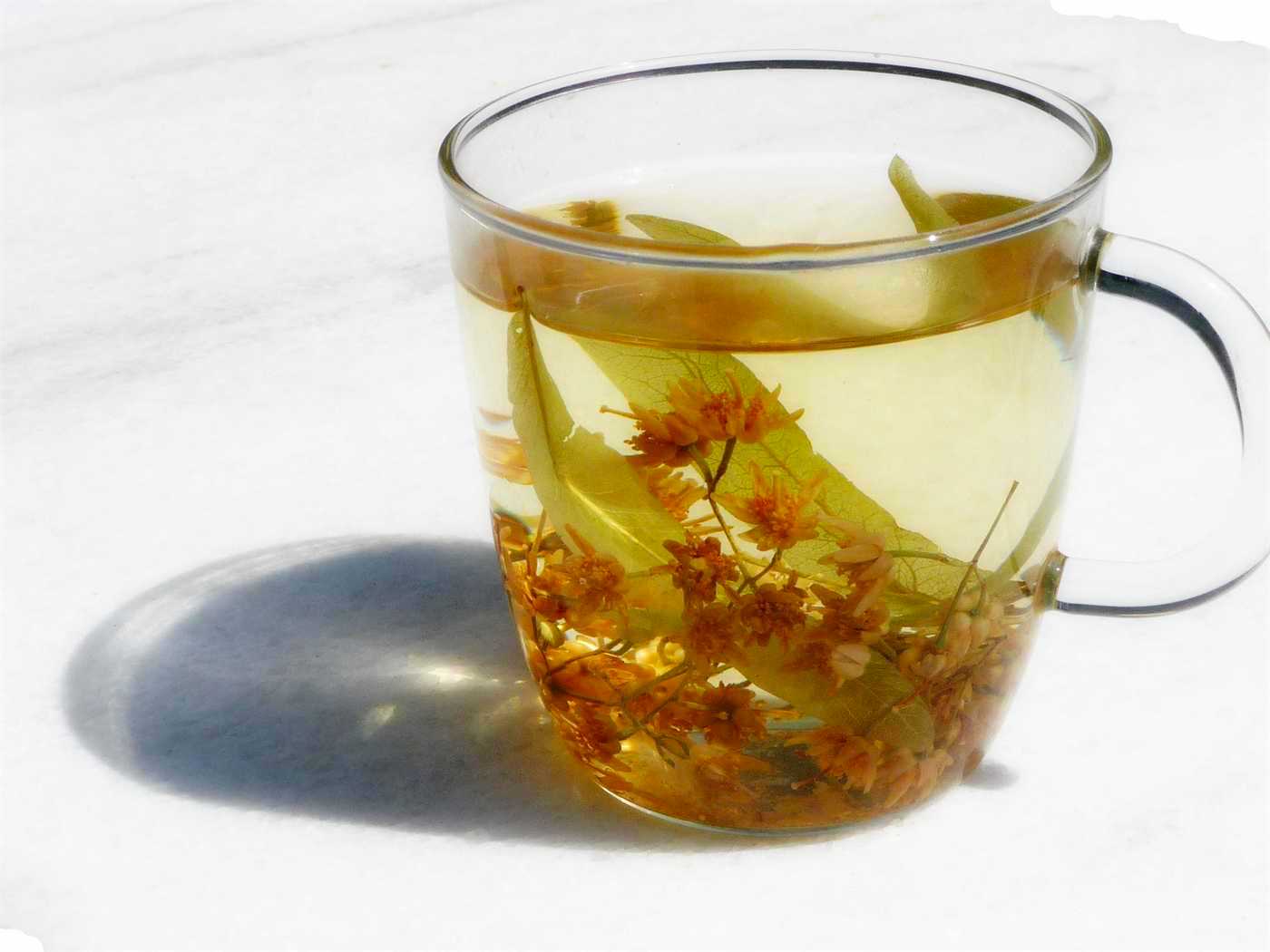 linden flower tea