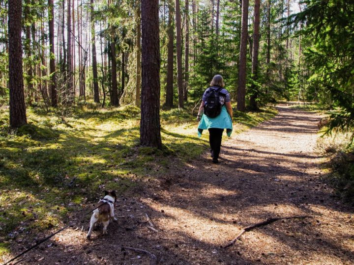 Best Dog Hiking Backpack To Go On A Trip With Your Pooch