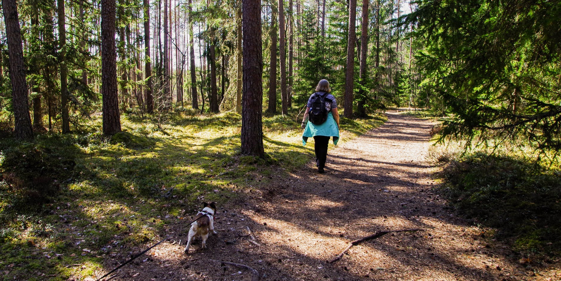 dog hiking backpack