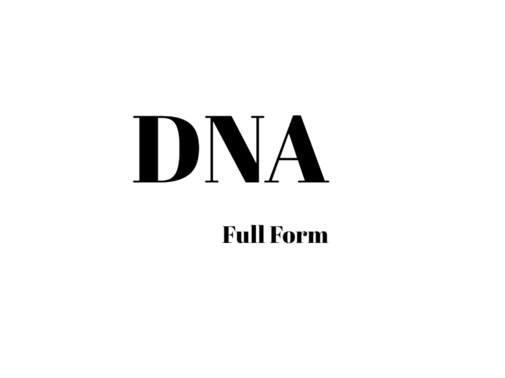 What Is DNA Full Form? Learn More About DNA