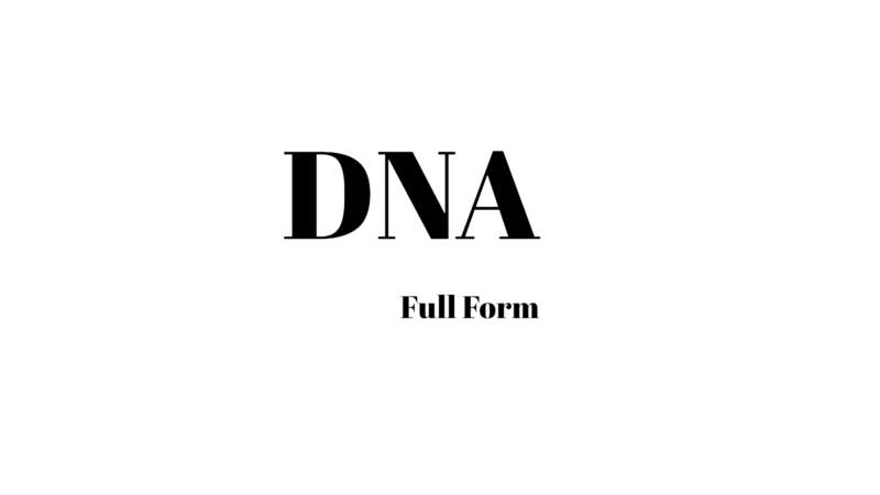 DNA full form