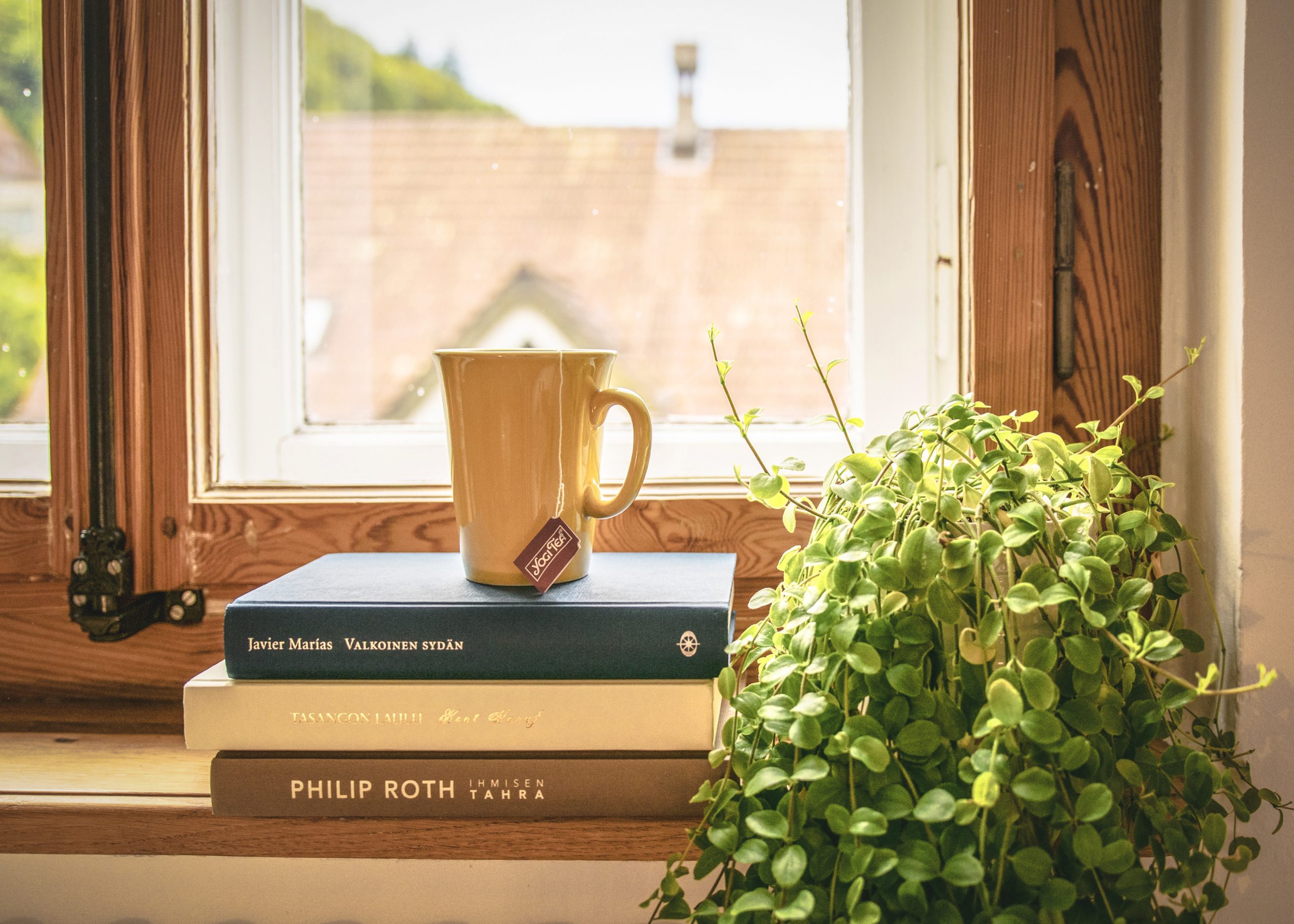 pexels-lumn-309724 - Latest Fashion & Lifestyle Trends benefits of indoor plants