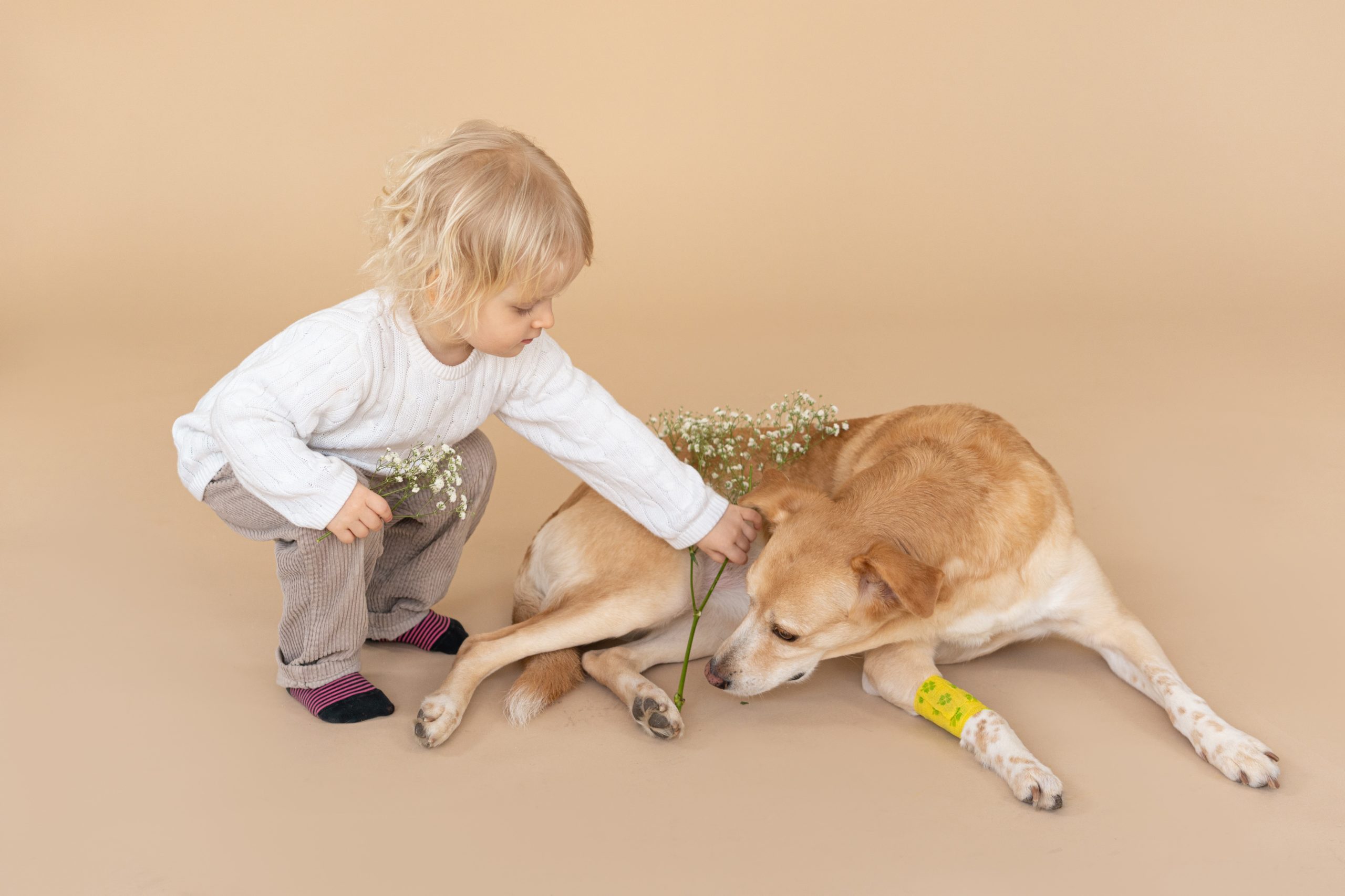 pexels-mikhail-nilov-7474646 - Latest Fashion & Lifestyle Trends best pet insurance