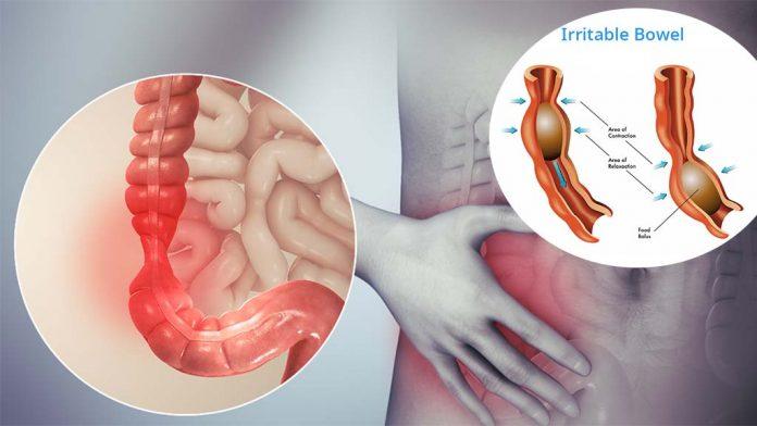 How the Gut and Brain Work Together