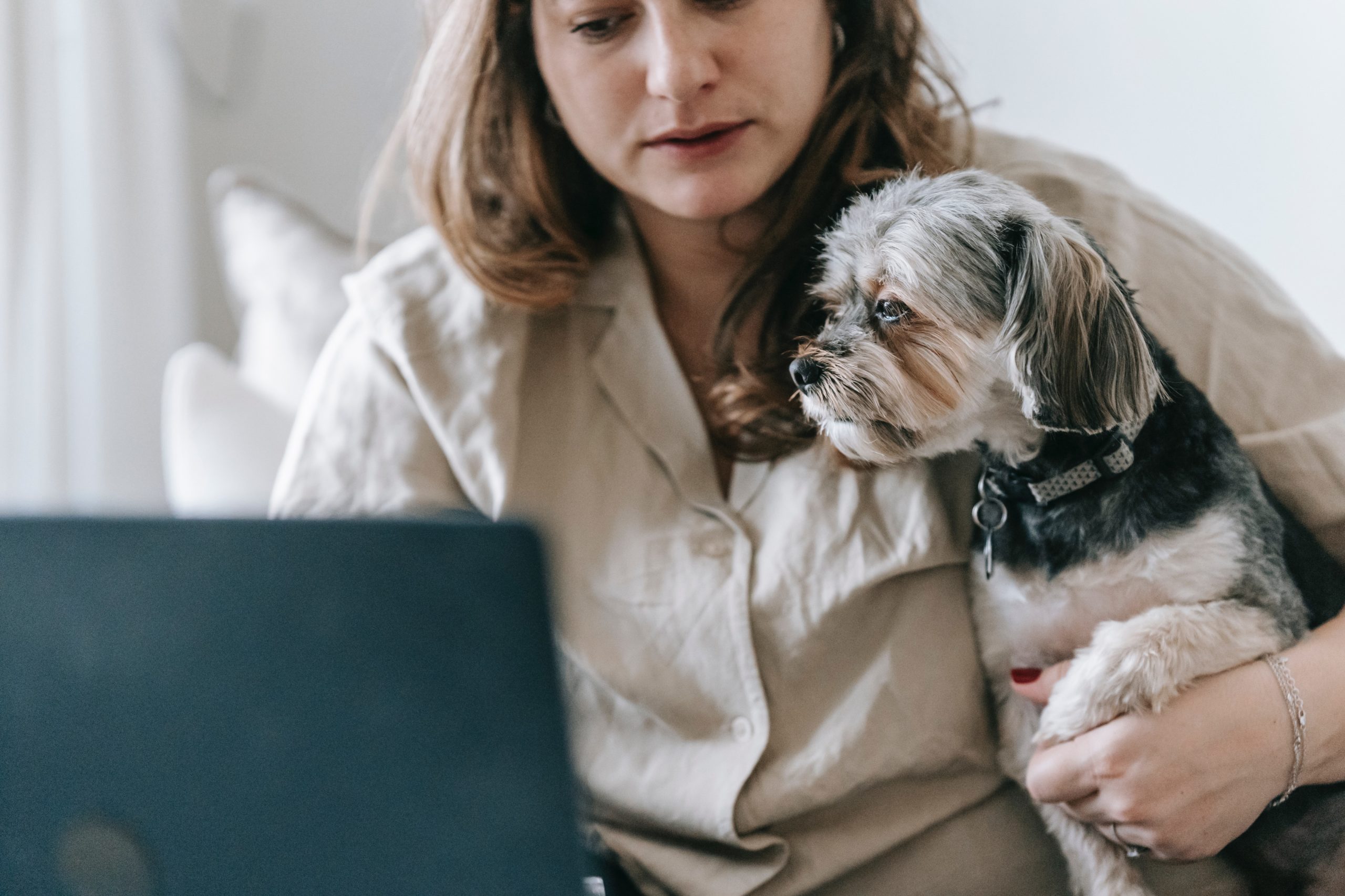 pexels-sarah-chai-7282635 - Latest Fashion & Lifestyle Trends symptoms of diabetes in dogs