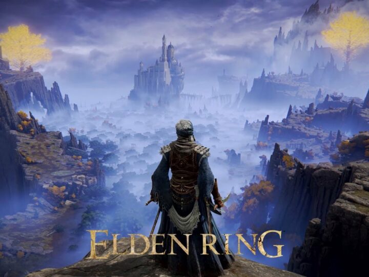 Friend Can’t See Summon Sign Elden Ring