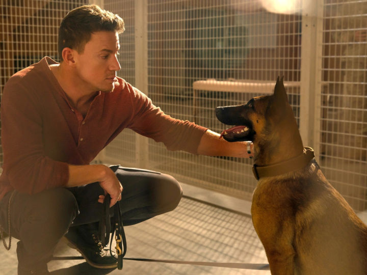 Is Dog based on a true story of Channing Tatum’s dog Lulu?