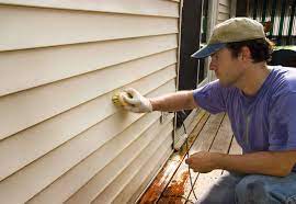 TOP 6 ALTERNATIVES TO VINYL SIDING