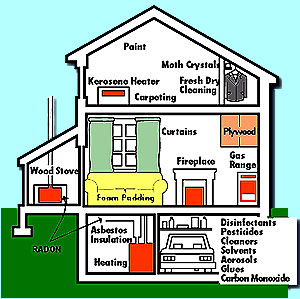 Most Common Indoor Air Pollutants You Must Get Rid of