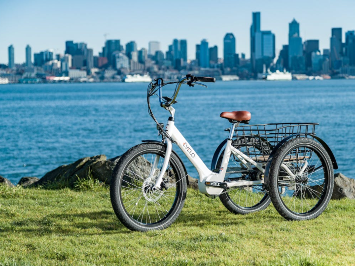 Pros and Cons of Buying an Adult Electric Trike