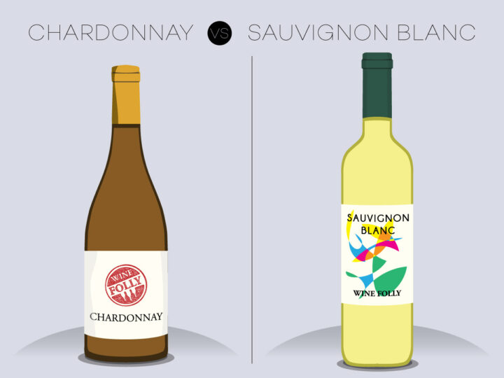White wines 101: Discovering the differences between Chardonnay and Sauvignon Blanc