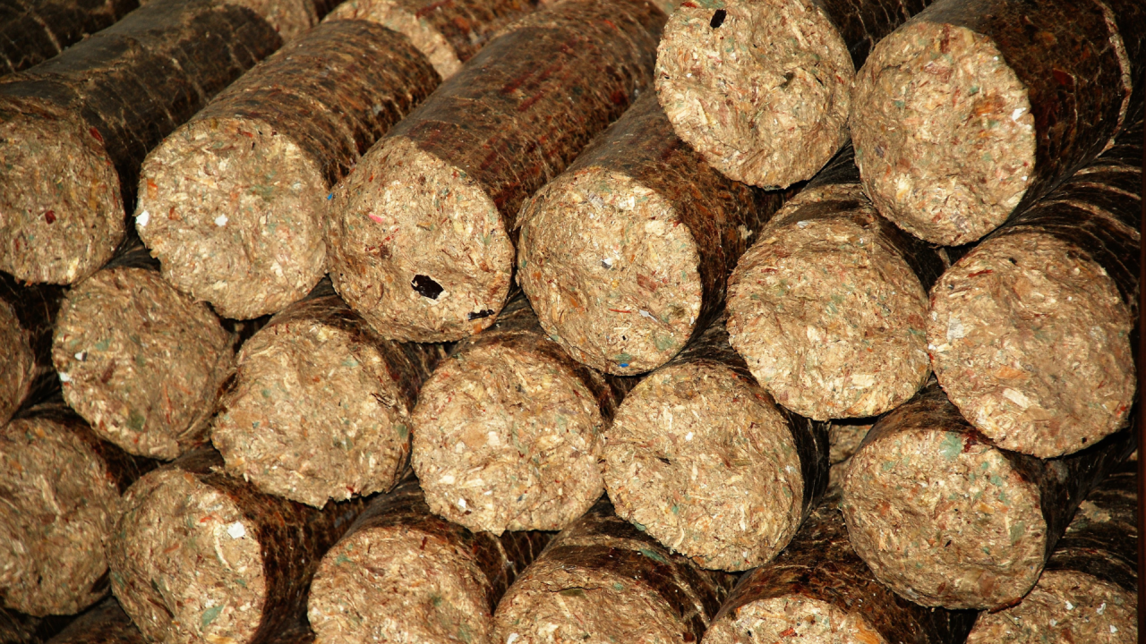 Briquettes - Latest Fashion & Lifestyle Trends